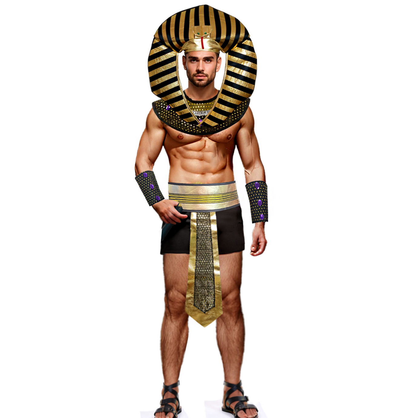 Disfraz de Faraón Egipcio para - Men Accessories Egypt reseña y precio