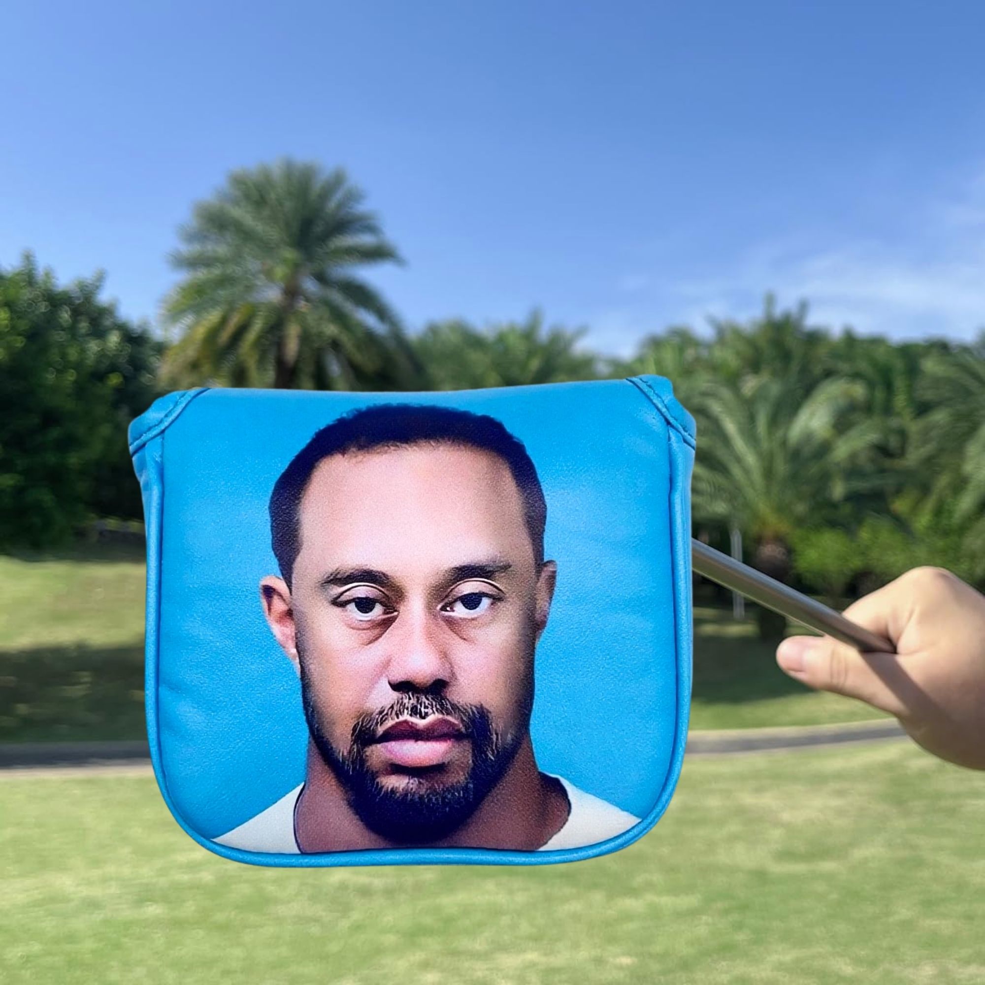 Divertido mazo de golf Putter  - Men'S Accessories For Christmas reseña y precio